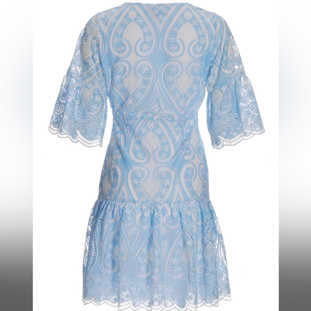 Two Tone Lace Flounce Dress - Picture 3 of 4